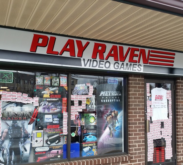 play-raven-video-games-photo